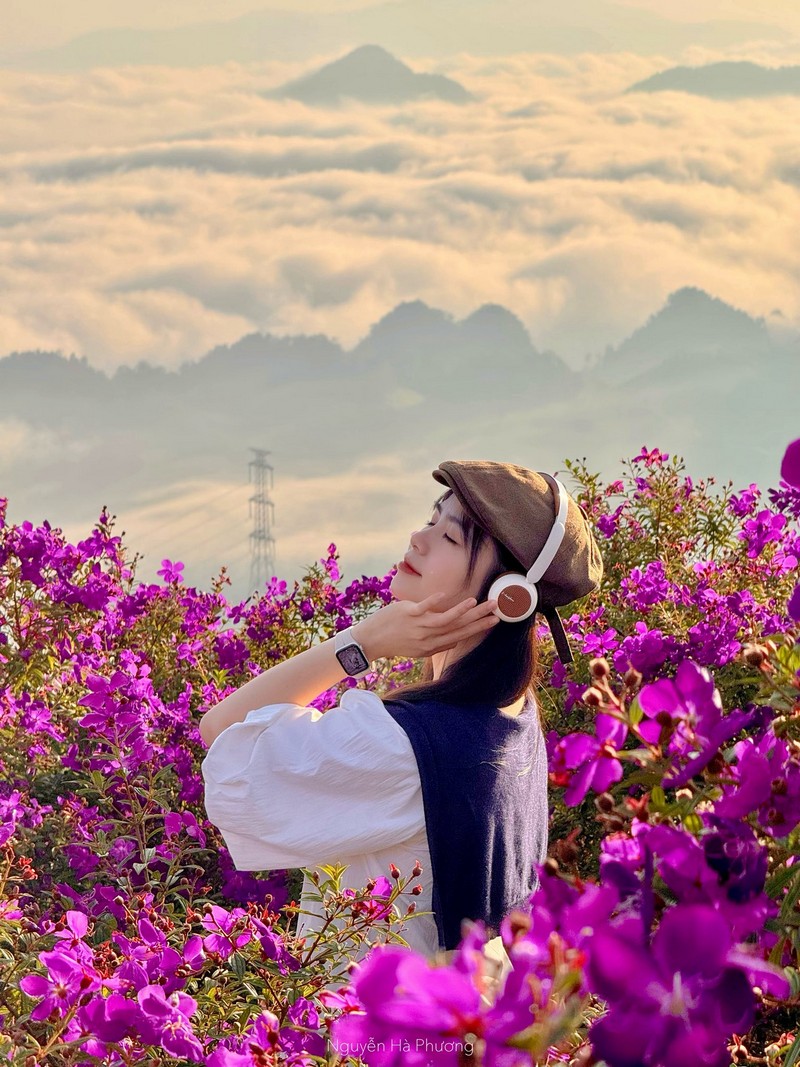Đồi sim ở bản Suối Bon