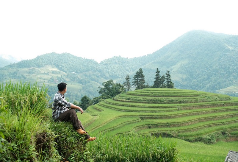 lịch trình 3N2Đ săn lúa Hoàng Su Phì