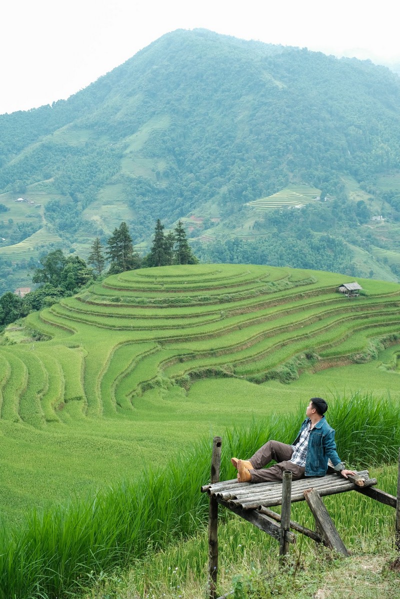 lịch trình 3N2Đ săn lúa Hoàng Su Phì