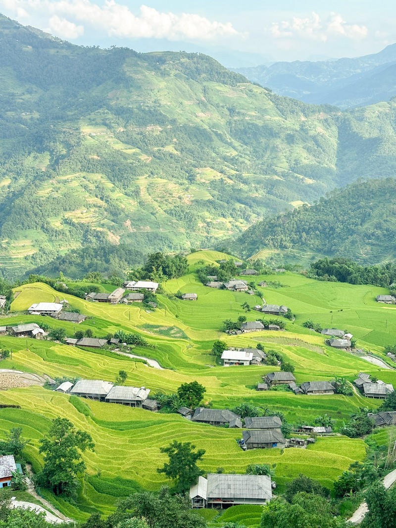 lịch trình 3N2Đ săn lúa Hoàng Su Phì