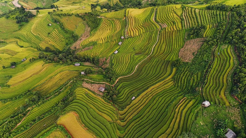Chuyến đi Mù Cang Chải 3N2Đ