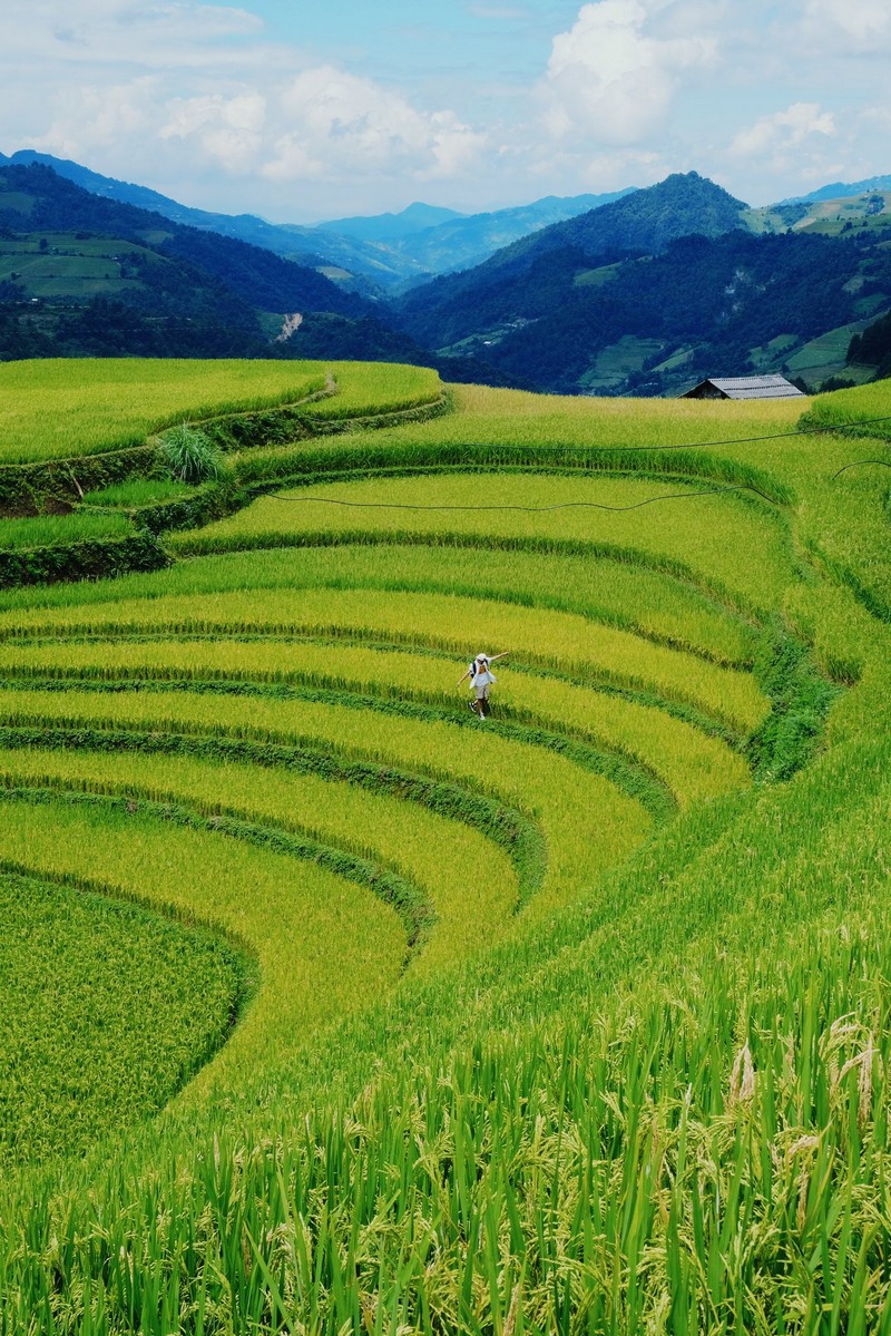 Chuyến đi Mù Cang Chải 3N2Đ