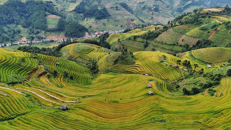 Chuyến đi Mù Cang Chải 3N2Đ