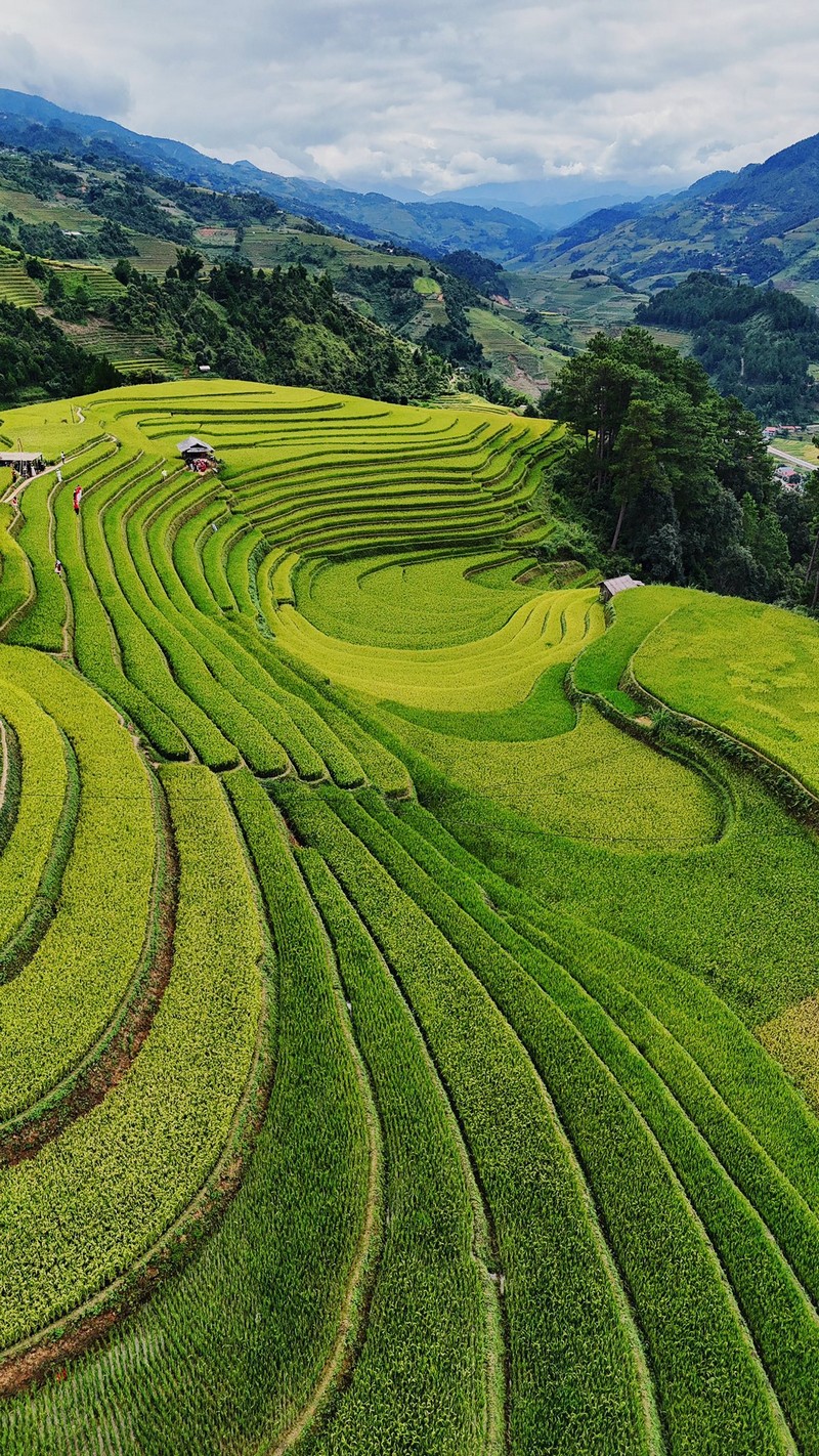 Chuyến đi Mù Cang Chải 3N2Đ