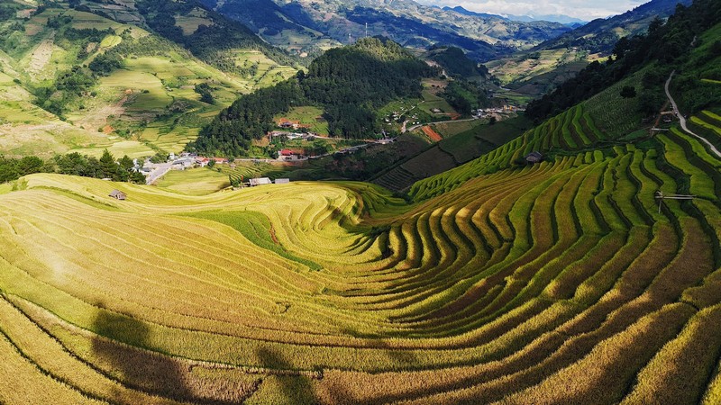 Chuyến đi Mù Cang Chải 3N2Đ