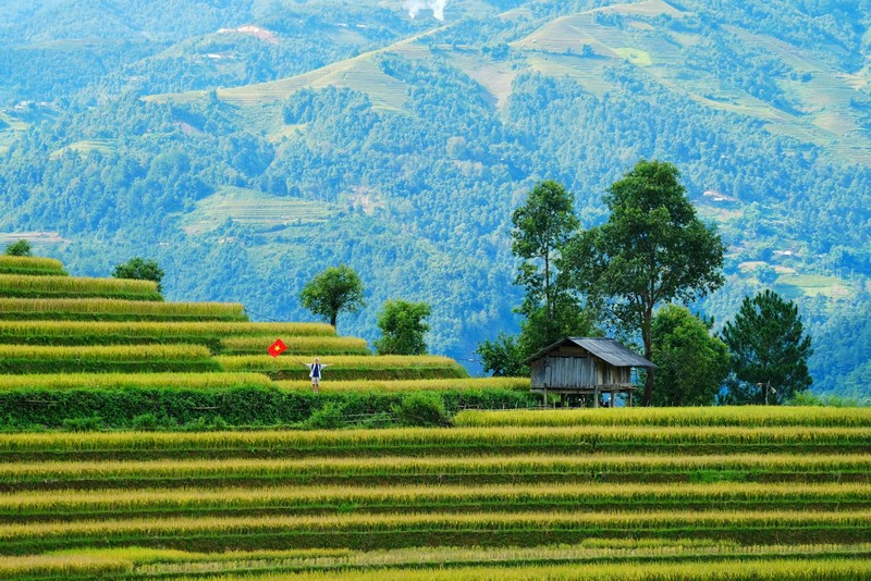 Chuyến đi Mù Cang Chải 3N2Đ