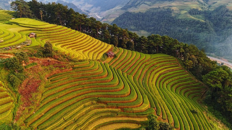 Chuyến đi Mù Cang Chải 3N2Đ
