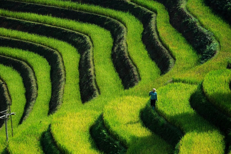 Chuyến đi Mù Cang Chải 3N2Đ