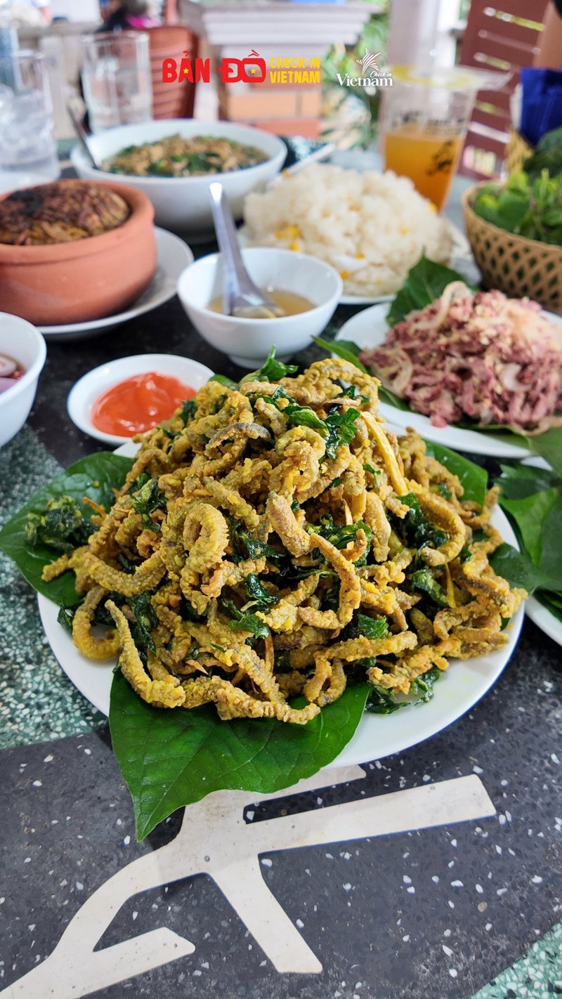 Review trải nghiệm rươi Tứ Kỳ