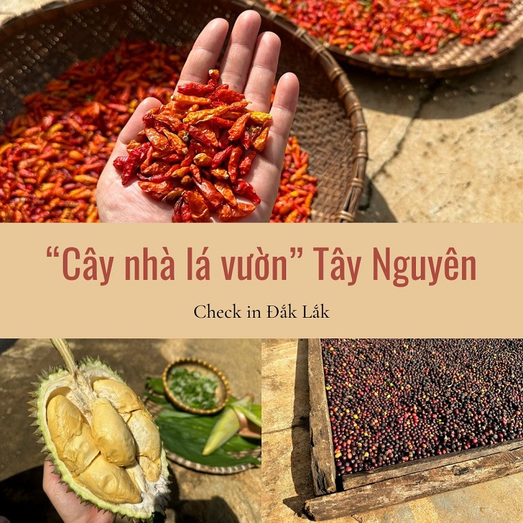 Chiêm ngưỡng ẩm thực "cây nhà lá vườn" Tây Nguyên ngon, sạch và tươi đẹp