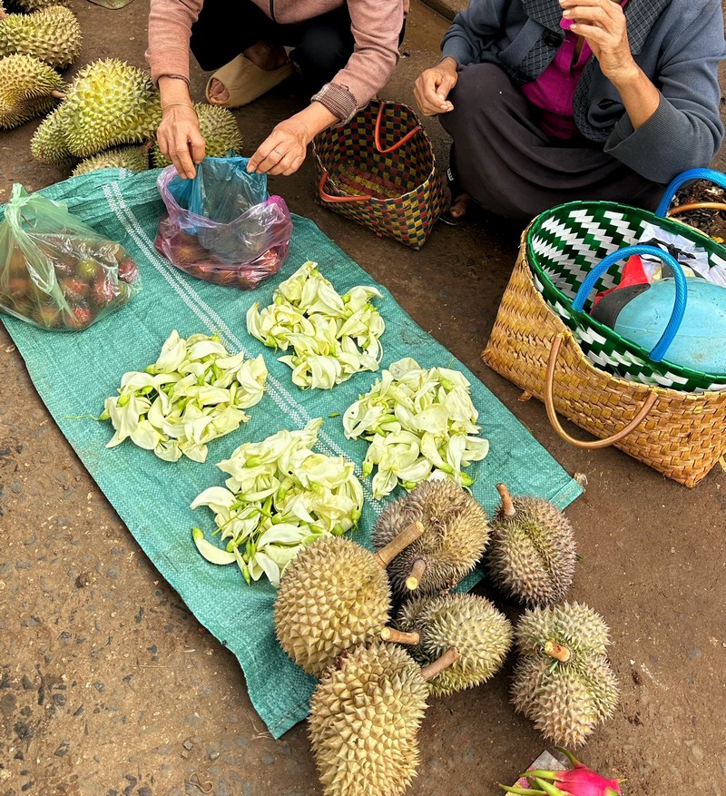 ẩm thực cây nhà lá vườn Tây Nguyên