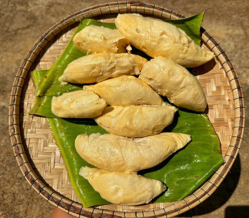 ẩm thực cây nhà lá vườn Tây Nguyên