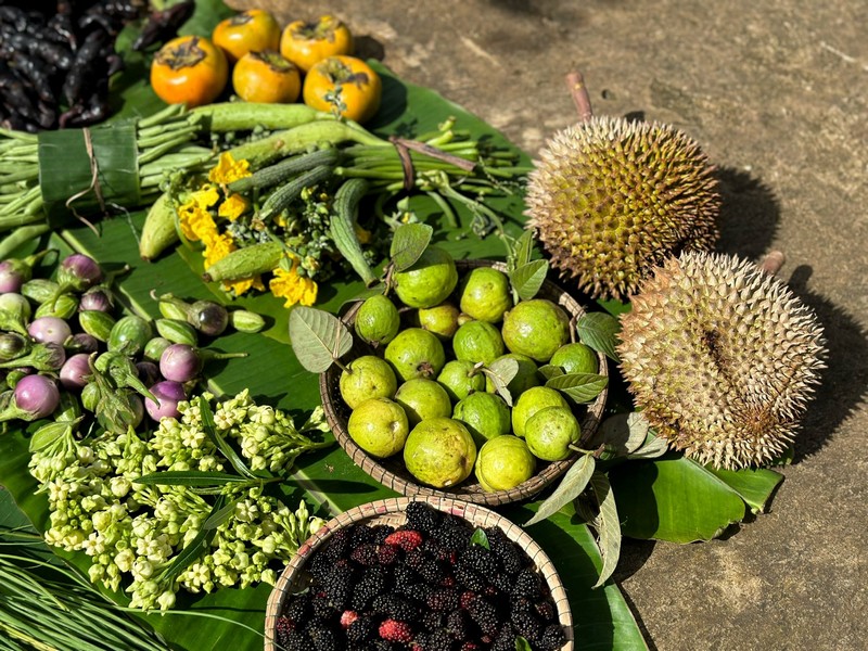 ẩm thực cây nhà lá vườn Tây Nguyên
