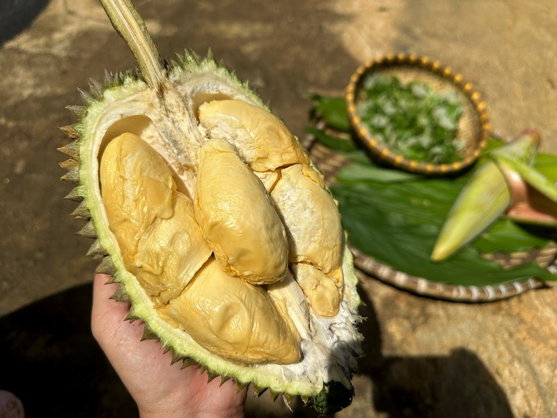ẩm thực cây nhà lá vườn Tây Nguyên