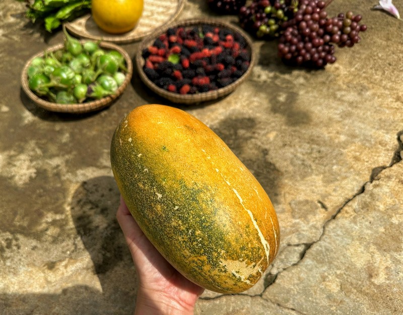 ẩm thực cây nhà lá vườn Tây Nguyên