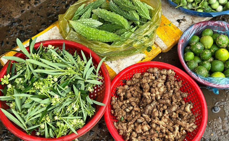ẩm thực cây nhà lá vườn Tây Nguyên