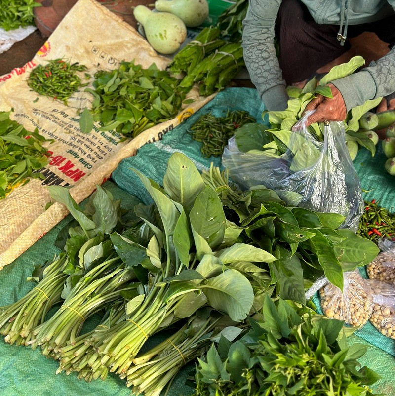 ẩm thực cây nhà lá vườn Tây Nguyên