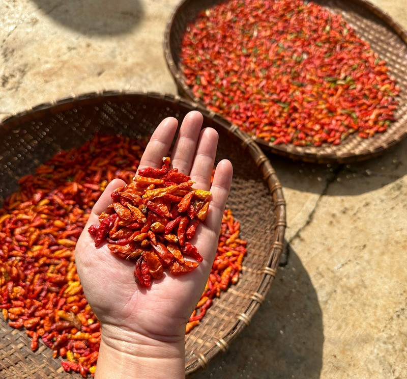 ẩm thực cây nhà lá vườn Tây Nguyên