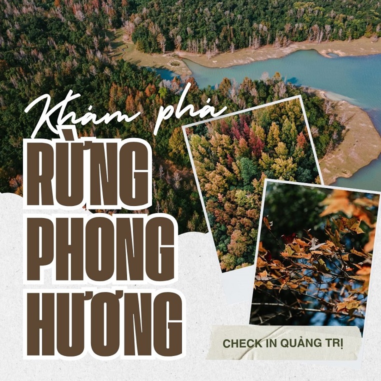 Khám phá rừng phong hương đổi màu khi tiết trời vào thu ở phía Tây Quảng Trị
