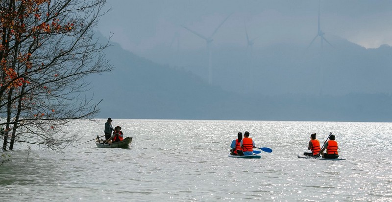 rừng phong hương đổi màu