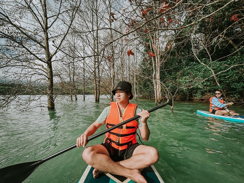 rừng phong hương đổi màu