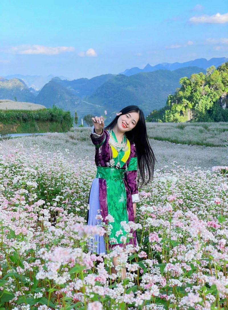 Lễ hội hoa Tam giác mạch 2025