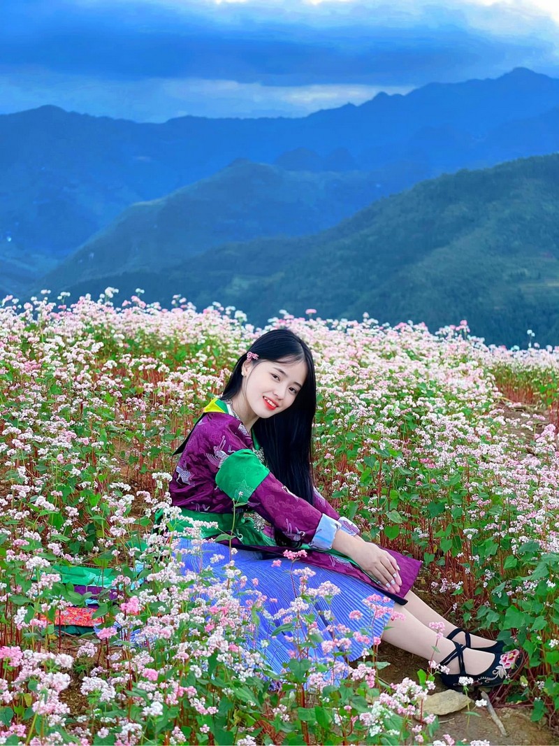 Lễ hội hoa Tam giác mạch 2025