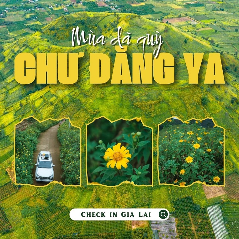 Loạt ảnh tuyệt đẹp báo hiệu lại một mùa hoa dã quỳ Chư Đăng Ya gọi mời khách đến với Tây Nguyên