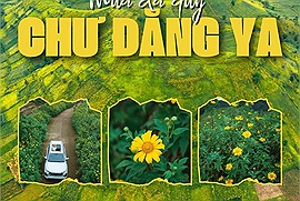 Loạt ảnh tuyệt đẹp báo hiệu lại một mùa hoa dã quỳ Chư Đăng Ya gọi mời khách đến với Tây Nguyên