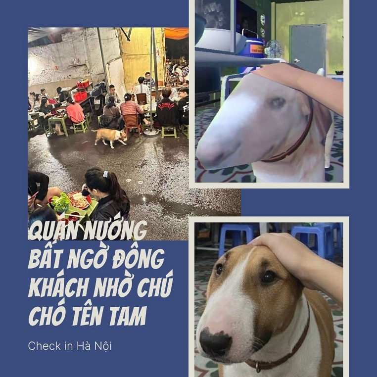 Quán nướng ở Hà Nội bất ngờ đông khách nhờ chú chó nghi là nguyên mẫu nhân vật game Brother Hai’s Pho Restaurant