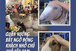 Quán nướng ở Hà Nội bất ngờ đông khách nhờ chú chó nghi là nguyên mẫu nhân vật game Brother Hai’s Pho Restaurant