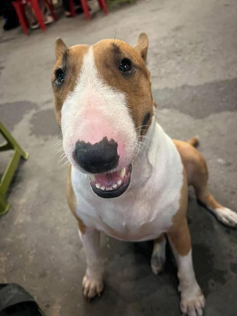 nguyên mẫu nhân vật game Brother Hai’s Pho Restaurant