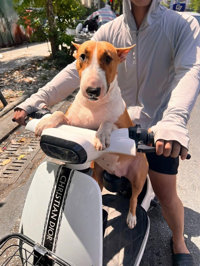 nguyên mẫu nhân vật game Brother Hai’s Pho Restaurant