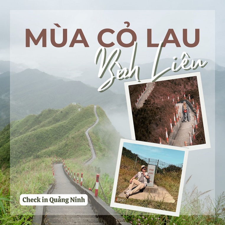 Cộng đồng Check in Vietnam khoe chinh phục Bình Liêu mùa "thiên đường" cỏ lau