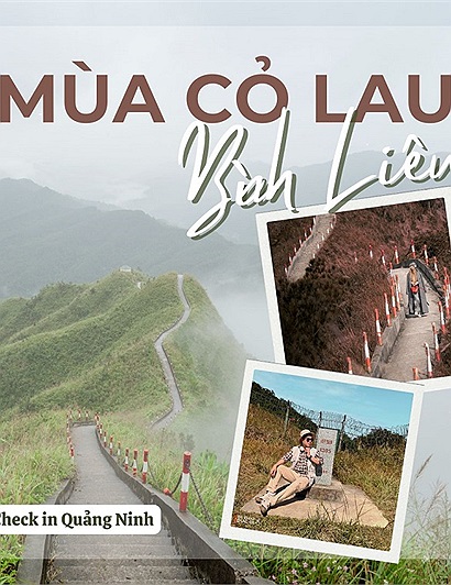 Cộng đồng Check in Vietnam khoe chinh phục Bình Liêu mùa "thiên đường" cỏ lau