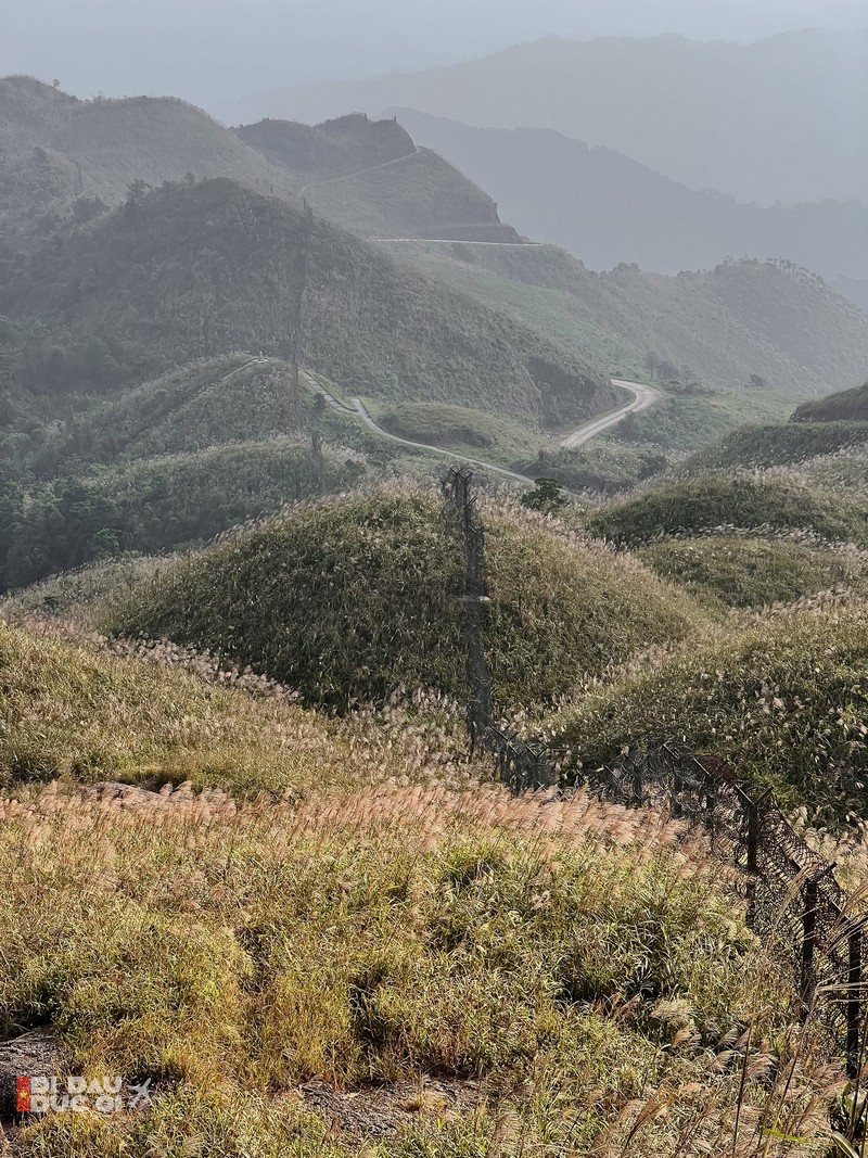 Bình Liêu mùa thiên đường cỏ lau