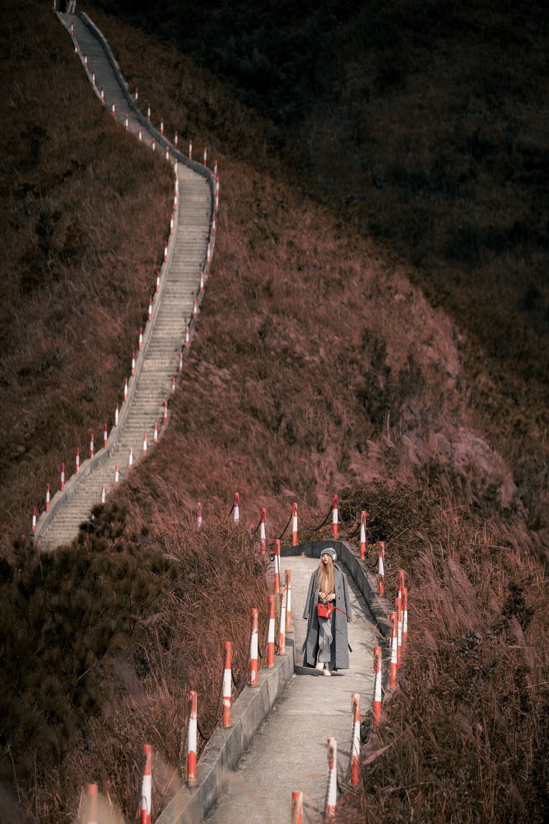 Bình Liêu mùa thiên đường cỏ lau