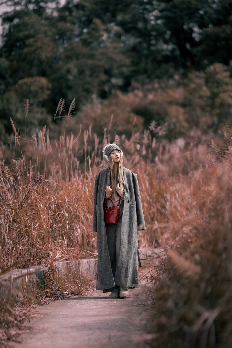 Bình Liêu mùa thiên đường cỏ lau