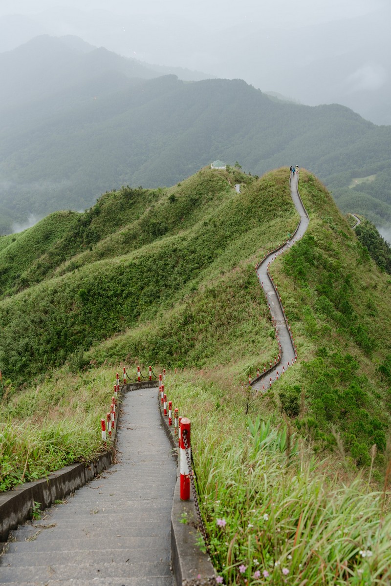 Bình Liêu mùa thiên đường cỏ lau