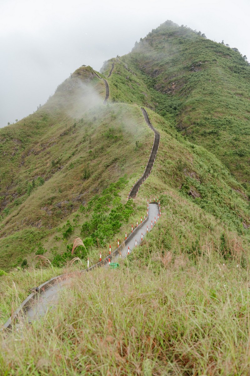 Bình Liêu mùa thiên đường cỏ lau