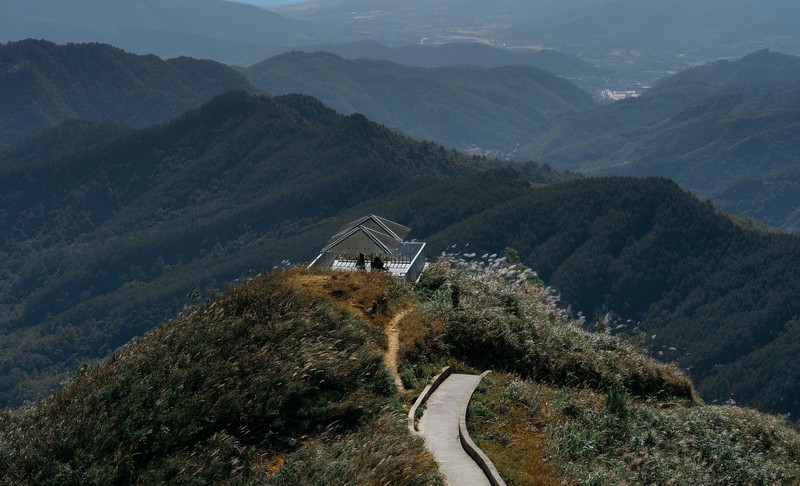 Bình Liêu mùa thiên đường cỏ lau