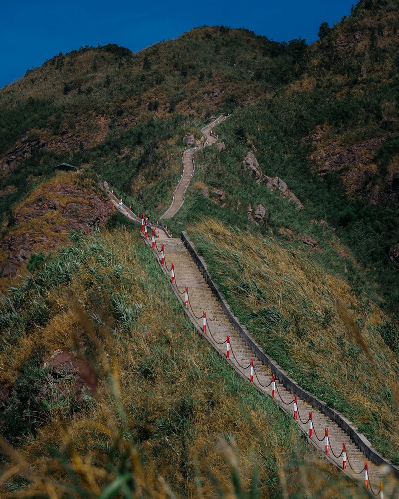 Bình Liêu mùa thiên đường cỏ lau