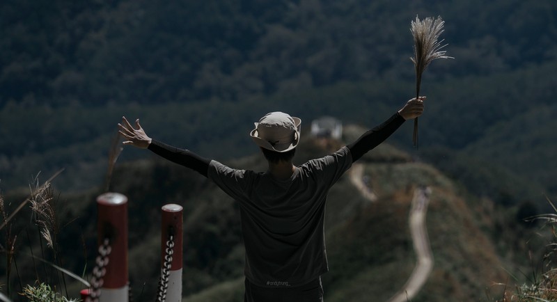 Bình Liêu mùa thiên đường cỏ lau