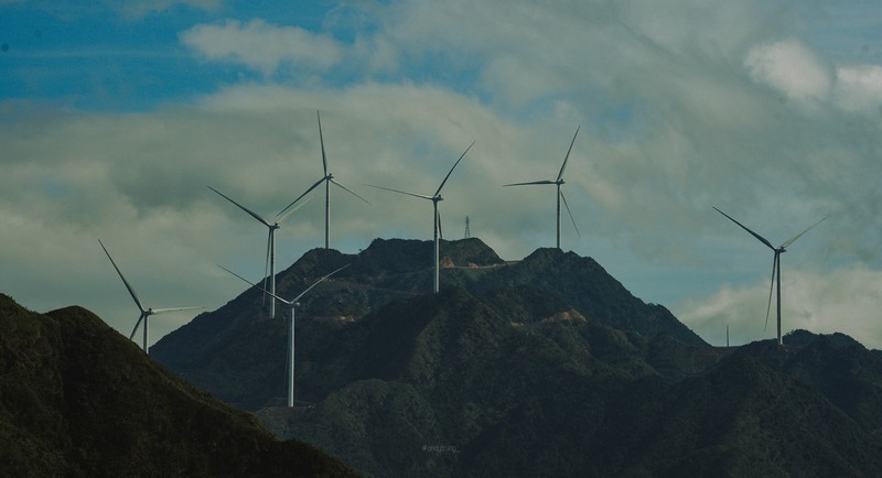 Bình Liêu mùa thiên đường cỏ lau