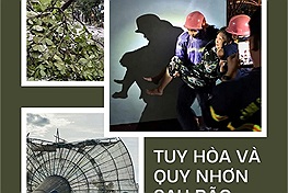 Hình ảnh Tuy Hòa và Quy Nhơn sau bão Kalmaegi trên MXH: Căng mình thu dọn những đống ngổn ngang để sớm trở lại nhịp sống bình thường