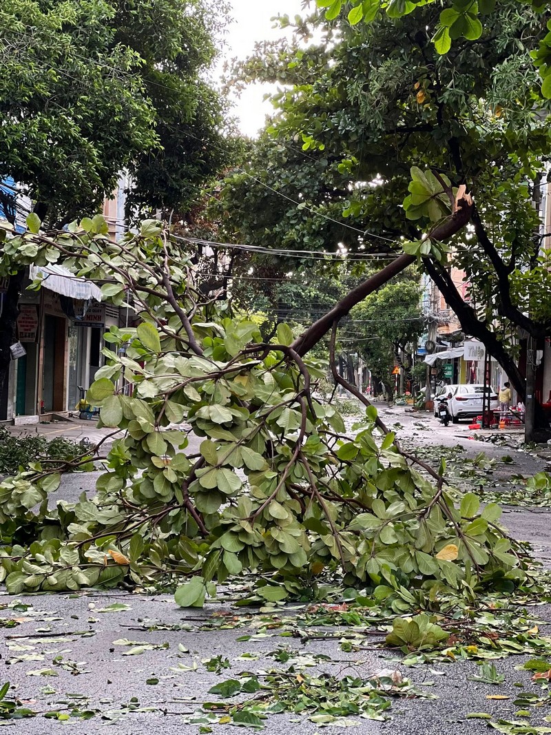 Hình ảnh Tuy Hòa và Quy Nhơn sau bão Kalmaegi