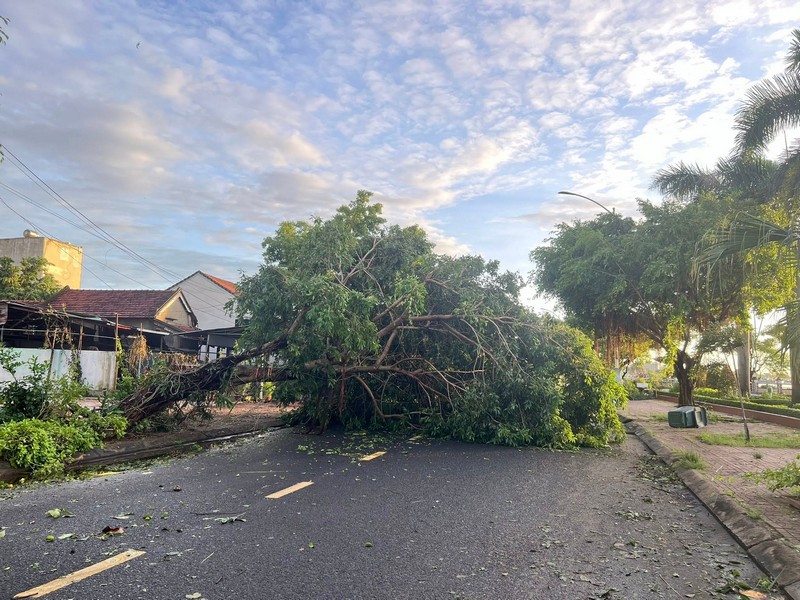 Hình ảnh Tuy Hòa và Quy Nhơn sau bão Kalmaegi