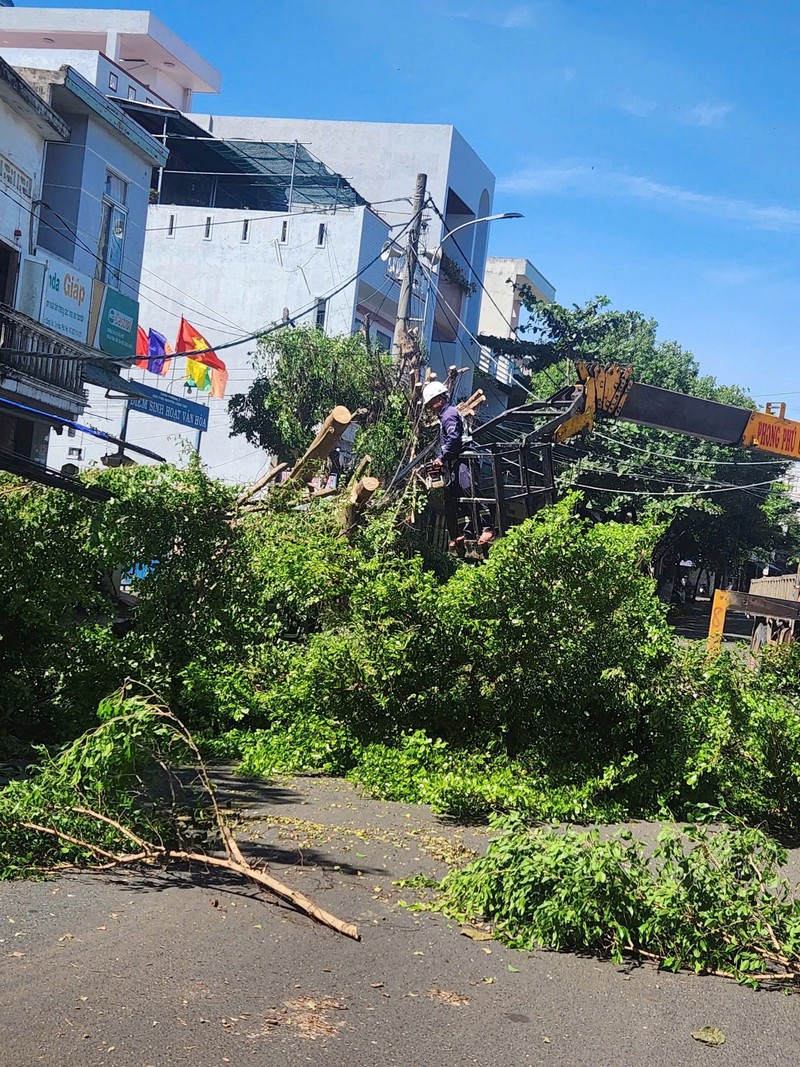 Hình ảnh Tuy Hòa và Quy Nhơn sau bão Kalmaegi