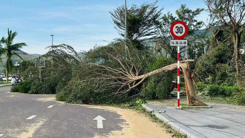 Hình ảnh Tuy Hòa và Quy Nhơn sau bão Kalmaegi