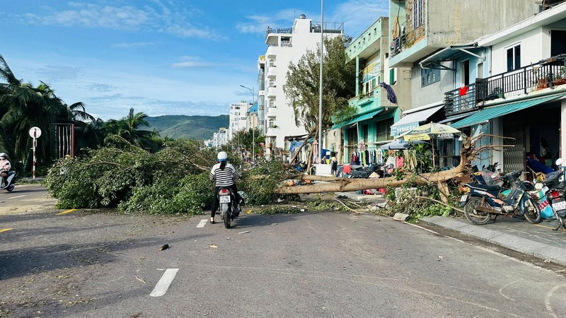 Hình ảnh Tuy Hòa và Quy Nhơn sau bão Kalmaegi